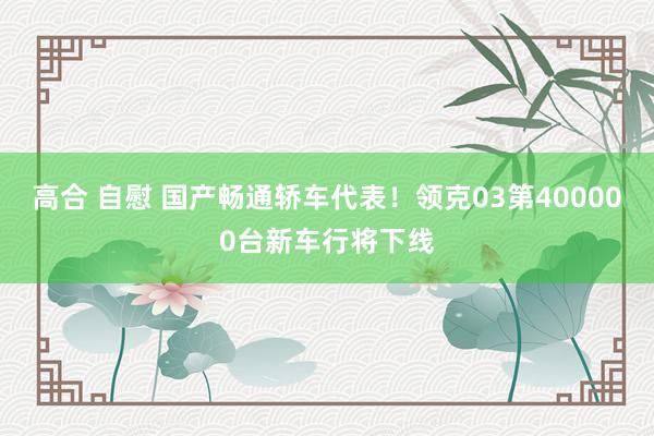 高合 自慰 国产畅通轿车代表！领克03第400000台新车行