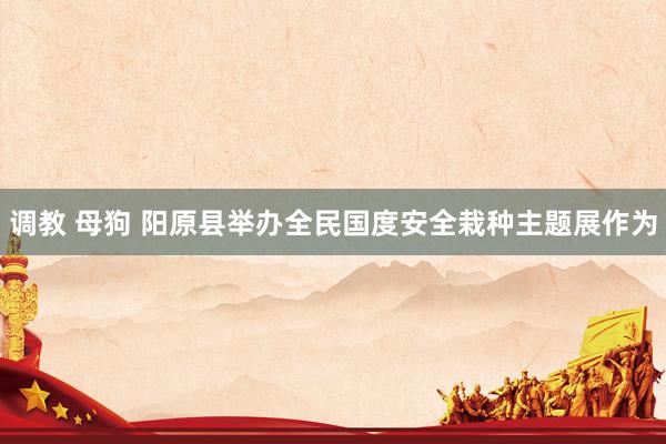 调教 母狗 阳原县举办全民国度安全栽种主题展作为