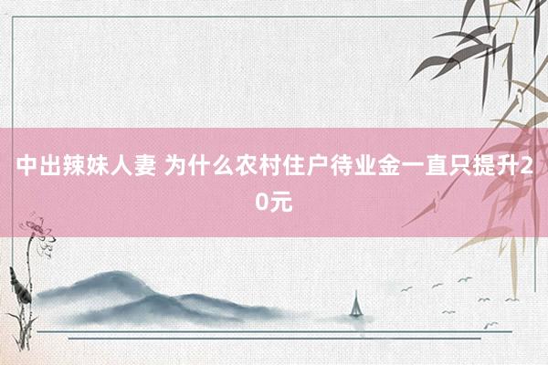 中出辣妹人妻 为什么农村住户待业金一直只提升20元