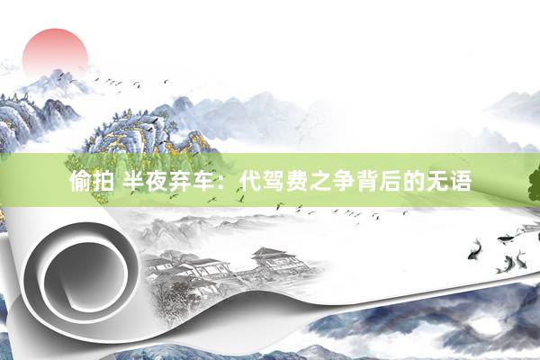 偷拍 半夜弃车：代驾费之争背后的无语