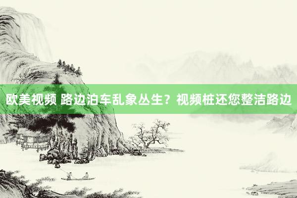 欧美视频 路边泊车乱象丛生？视频桩还您整洁路边