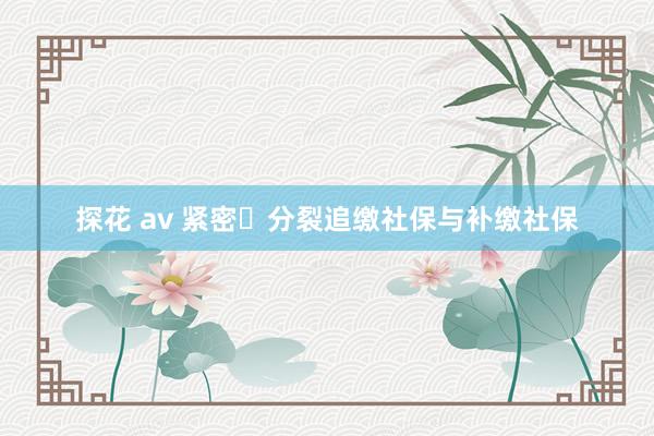 探花 av 紧密️分裂追缴社保与补缴社保