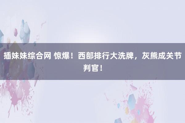 插妹妹综合网 惊爆！西部排行大洗牌，灰熊成关节判官！