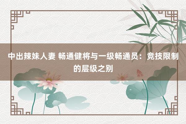 中出辣妹人妻 畅通健将与一级畅通员：竞技限制的层级之别