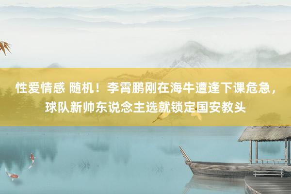 性爱情感 随机！李霄鹏刚在海牛遭逢下课危急，球队新帅东说念主选就锁定国安教头
