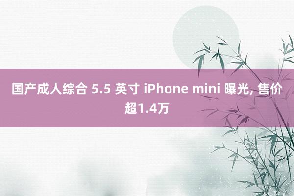 国产成人综合 5.5 英寸 iPhone mini 曝光, 