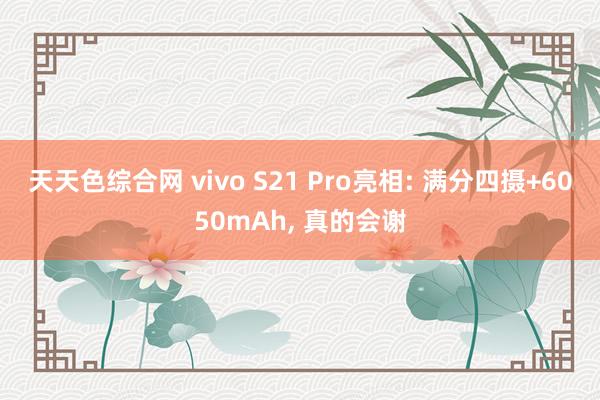 天天色综合网 vivo S21 Pro亮相: 满分四摄+60