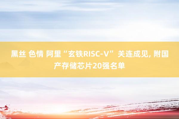 黑丝 色情 阿里“玄铁RISC-V” 关连成见, 附国产存储
