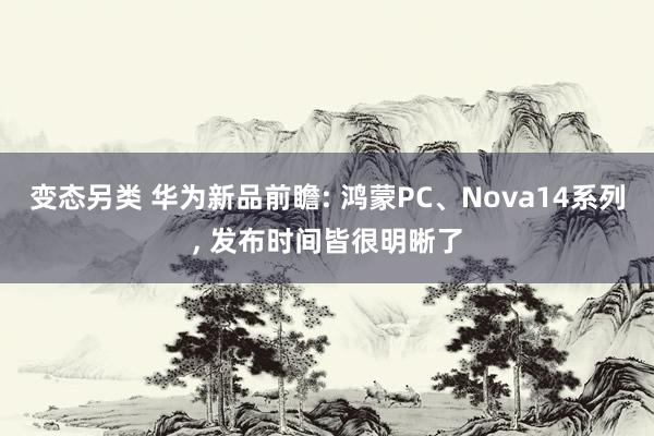 变态另类 华为新品前瞻: 鸿蒙PC、Nova14系列, 发布