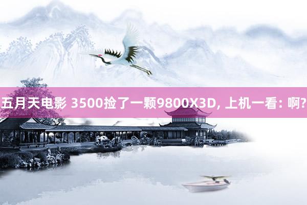 五月天电影 3500捡了一颗9800X3D, 上机一看: 啊