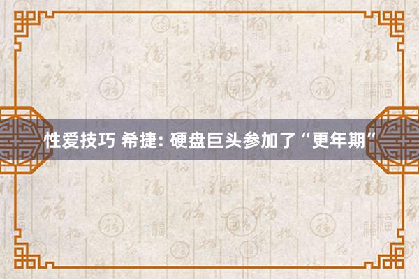 性爱技巧 希捷: 硬盘巨头参加了“更年期”