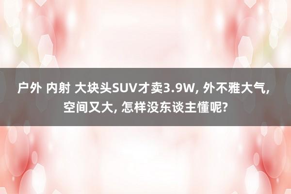 户外 内射 大块头SUV才卖3.9W, 外不雅大气, 空间又