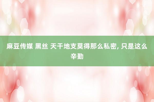 麻豆传媒 黑丝 天干地支莫得那么私密, 只是这么辛勤