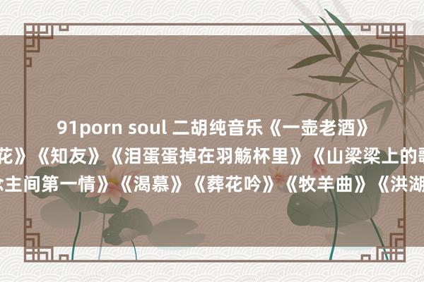 91porn soul 二胡纯音乐《一壶老酒》《母亲》《画你
