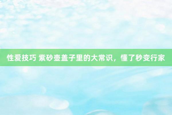性爱技巧 紫砂壶盖子里的大常识，懂了秒变行家
