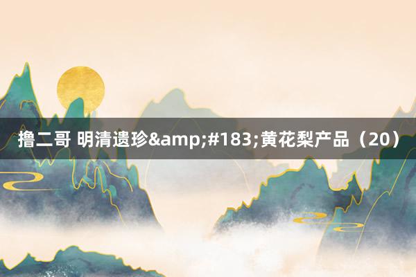 撸二哥 明清遗珍&#183;黄花梨产品（20）