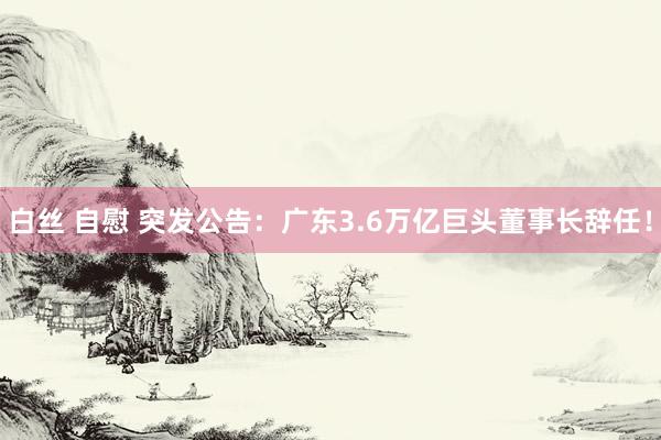 白丝 自慰 突发公告：广东3.6万亿巨头董事长辞任！